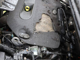 2021-citroen-jumpy-1448214-46863934