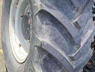 reform-mounty100-46906102