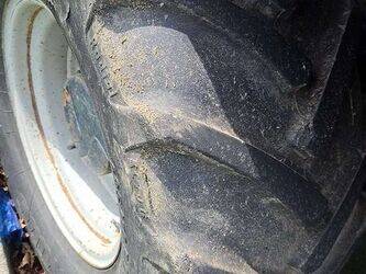 reform-mounty100-46906103