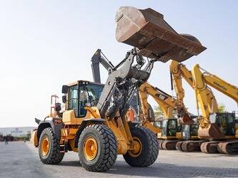 Image de CHARGEUSES SUR PNEUS 2017 Volvo L110H