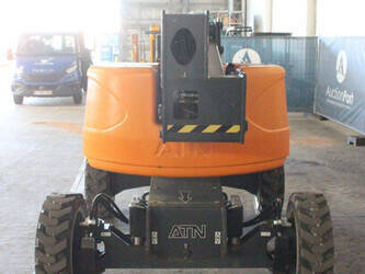 2021-atn-zebra-12-46947595