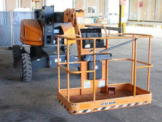 2021-atn-zebra-12-46947597