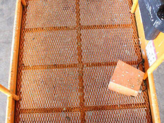 2021-atn-zebra-12-46947601