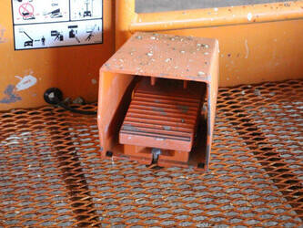 2021-atn-zebra-12-46947603