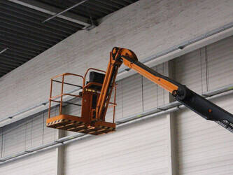 2021-atn-zebra-12-46947615