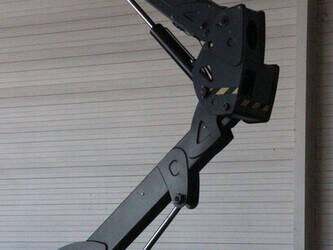 2021-atn-zebra-12-46947616