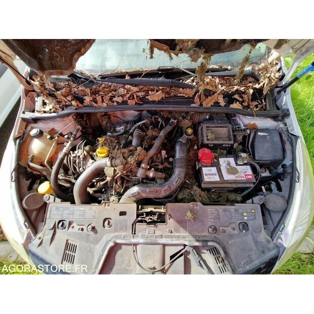 2015 رينو Clio-46964243