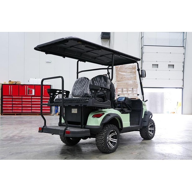 2025 Raccoon RC-G4.0-46991698