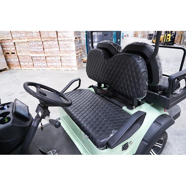 2025 Raccoon RC-G4.0-46991703