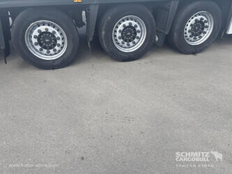2019-schmitz-cargobull-others-1450111-46991945