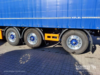 2022-koegel-others-47042007