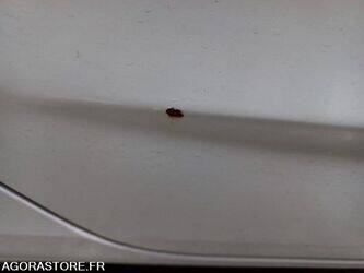 2016-citroen-c4-1451201-47056647