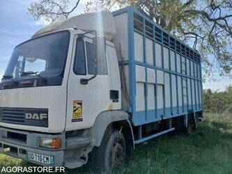 1998-daf-55-1451662-47109836