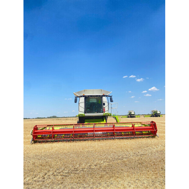 2014 كلاس LEXION 770TT-47111351