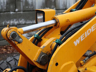 2004-weidemann-p50-2006-47134994