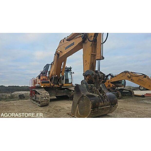 2010 Liebherr R974C-47181172
