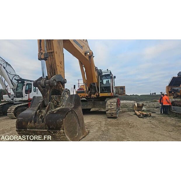 2010 Liebherr R974C-47181222