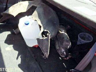 2011-peugeot-207-1454280-47265452