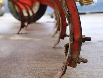 2011-maschio-s-maria-300-47294439