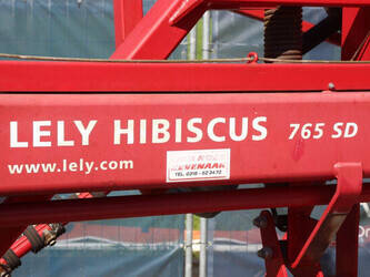 2010-lely-hibiscus-765-sd-47297969