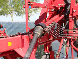 2010-lely-hibiscus-765-sd-47297973