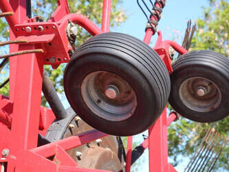 2010-lely-hibiscus-765-sd-47297975