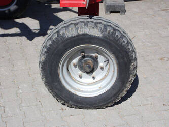 2010-lely-hibiscus-765-sd-47297977