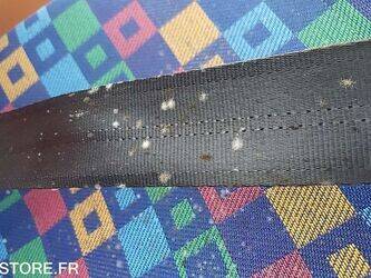 2009-irisbus-recreo-1456729-47435750
