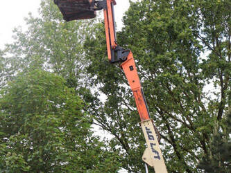 2014-jlg-f300a-jp-47439200