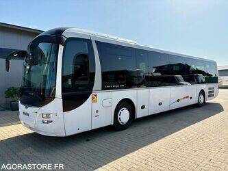 2015-man-lions-regio-1456810-47457227