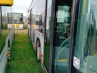 2013-mercedes-benz-citaro-le-1458123-47509608