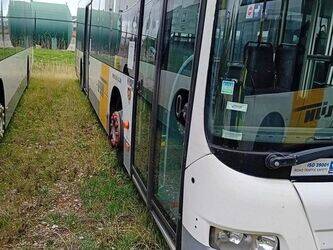 2013-man-lions-city-1458135-47509880
