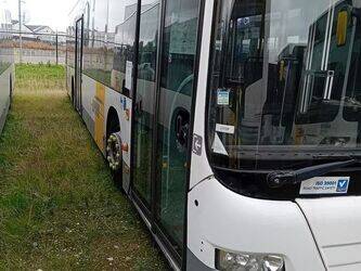 man-lions-city-1458140-47510028