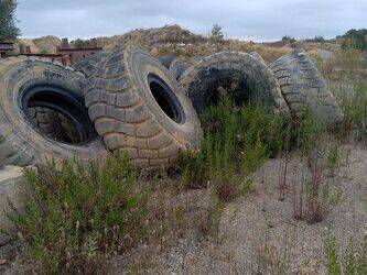 bridgestone-1459591-47614557
