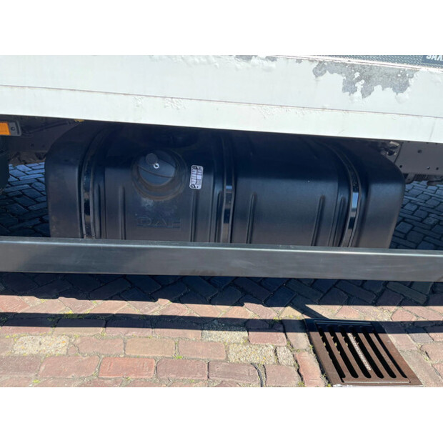 2023 DAF LF 230 FA-47619907