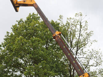 2022-jcb-535-95-1459788-47622387