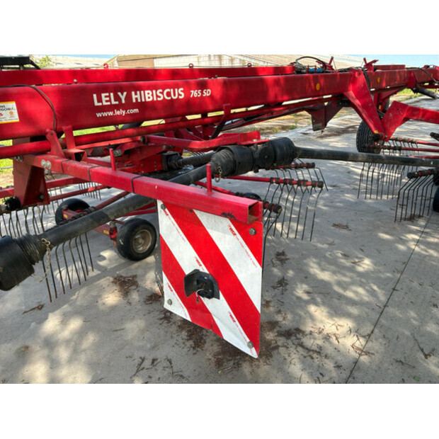 2017 Lely Hibiscus 765SD-47762831