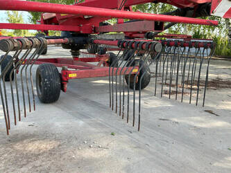 2017-lely-hibiscus-765sd-47762834