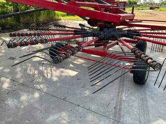 2017-lely-hibiscus-765sd-47762837