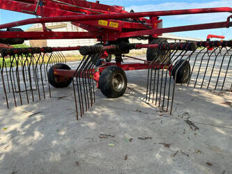 2017-lely-hibiscus-765sd-47762844