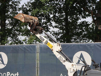 2020-bobcat-e10z-1462320-47787201