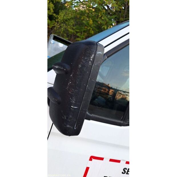 2009 Renault Mascott-47828063