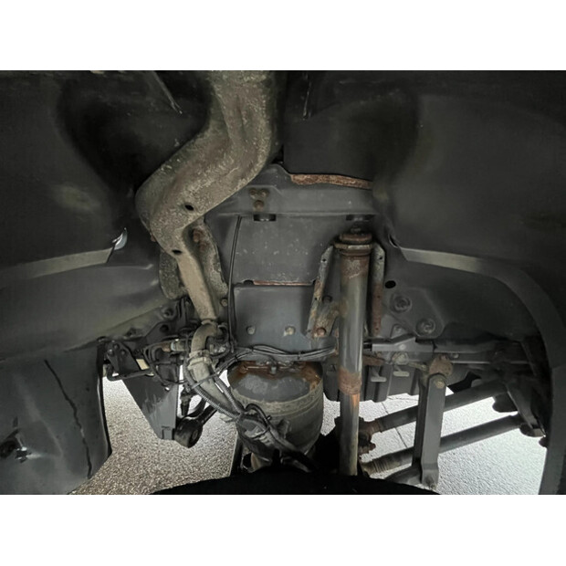 2010 Scania P320-47868378