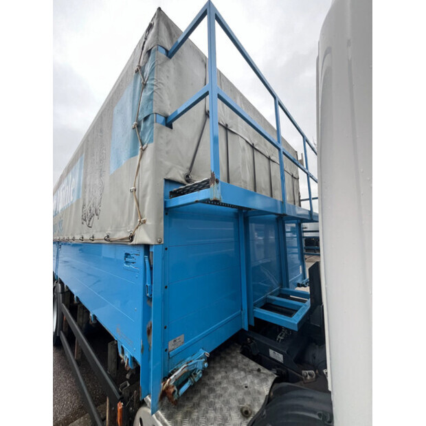 2010 Scania P320-47868385