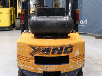 1996-yang-fg-25-1463271-47869572