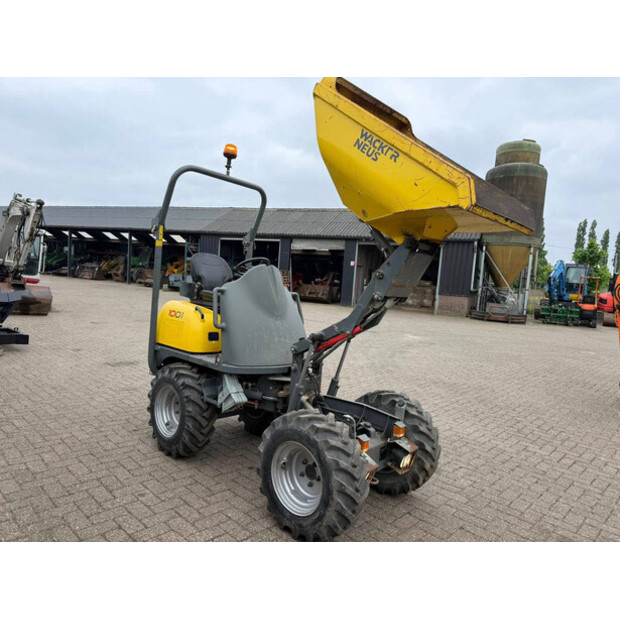 2019 Neuson D01-04-47961197