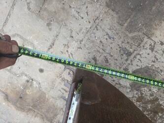 quick-coupler-oilquick-used-48037818