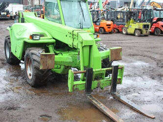 2006-merlo-p38-14-1465940-48039662