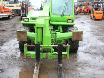 2006-merlo-p38-14-1465940-48039663