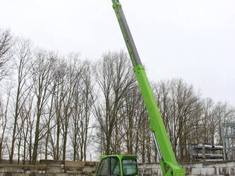 2006-merlo-p38-14-1465940-48039692